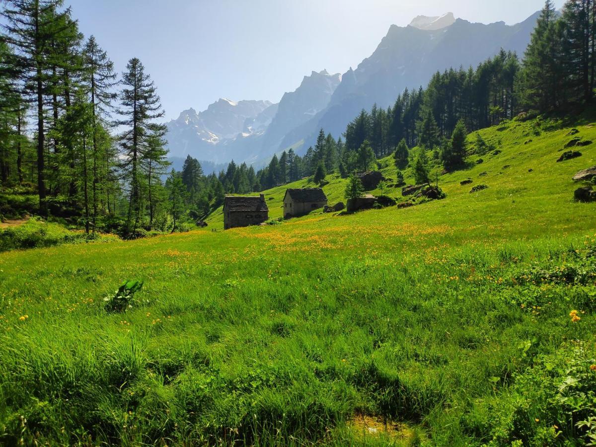 B&B Chalet Il Picchio 瓦尔佐 外观 照片