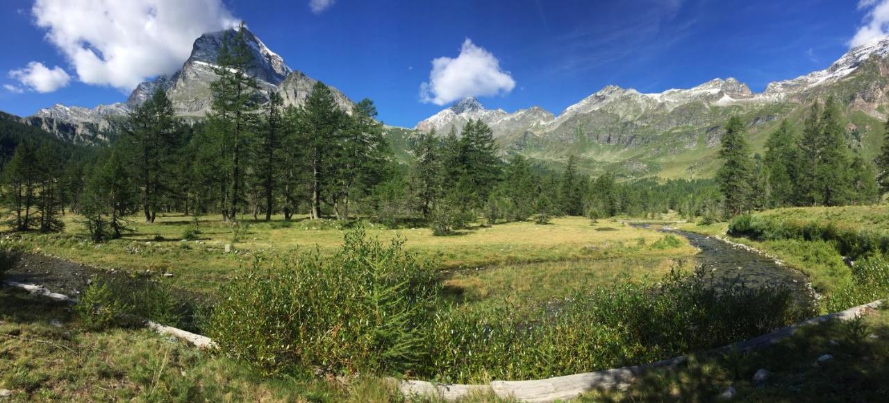 B&B Chalet Il Picchio 瓦尔佐 外观 照片