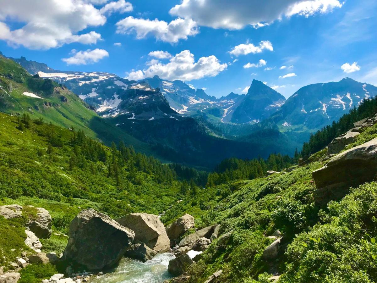 B&B Chalet Il Picchio 瓦尔佐 外观 照片