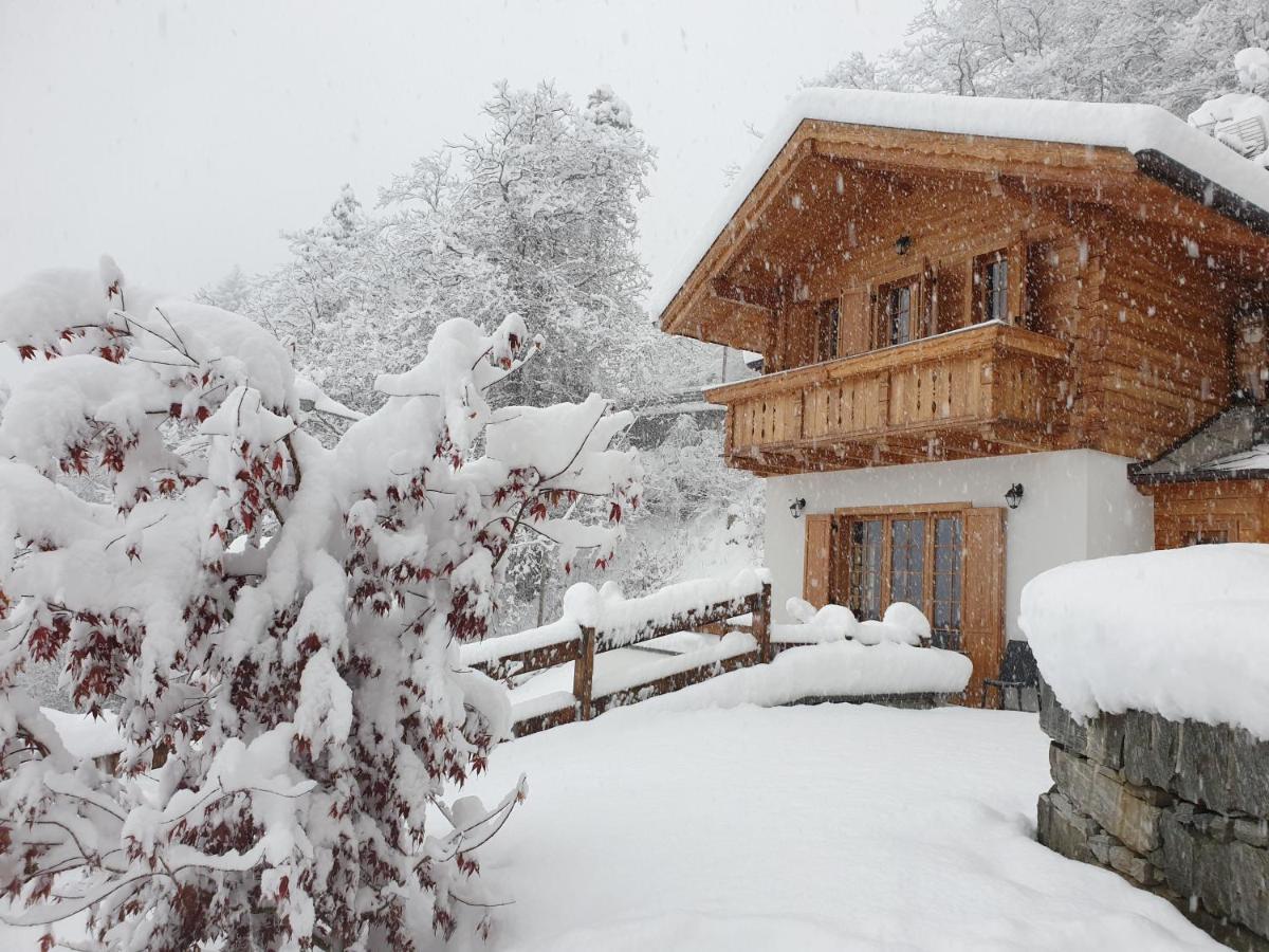 B&B Chalet Il Picchio 瓦尔佐 外观 照片